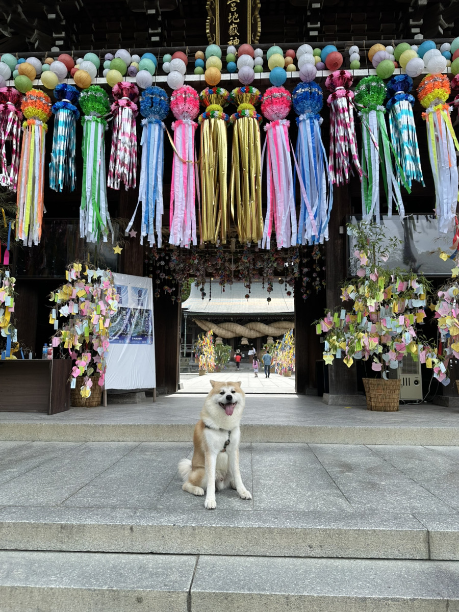 宮地嶽