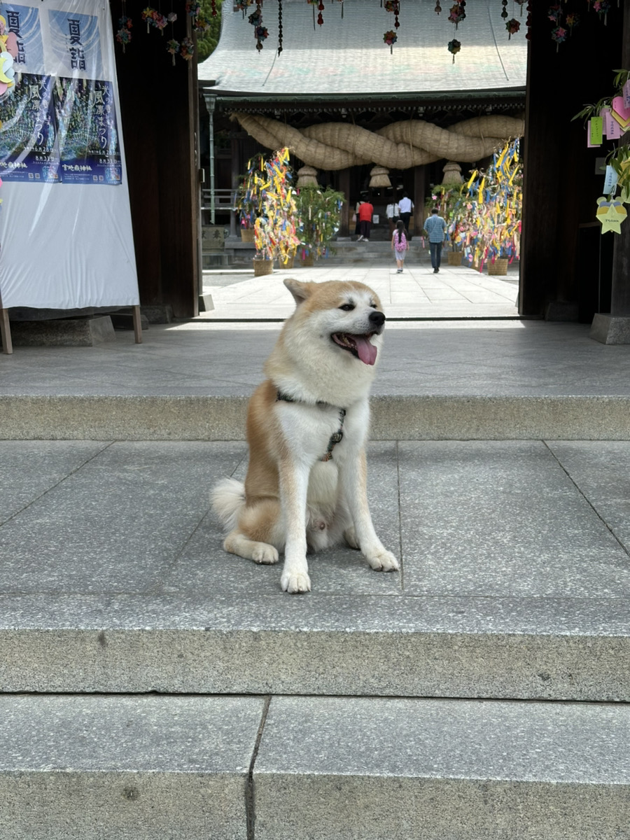 宮地嶽